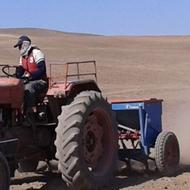 دستگاه ردیفکار....