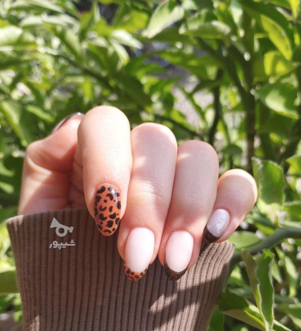 ماروبه دوستانتون معرفی کنید ترمیم برای شمارایگان انجام میشه