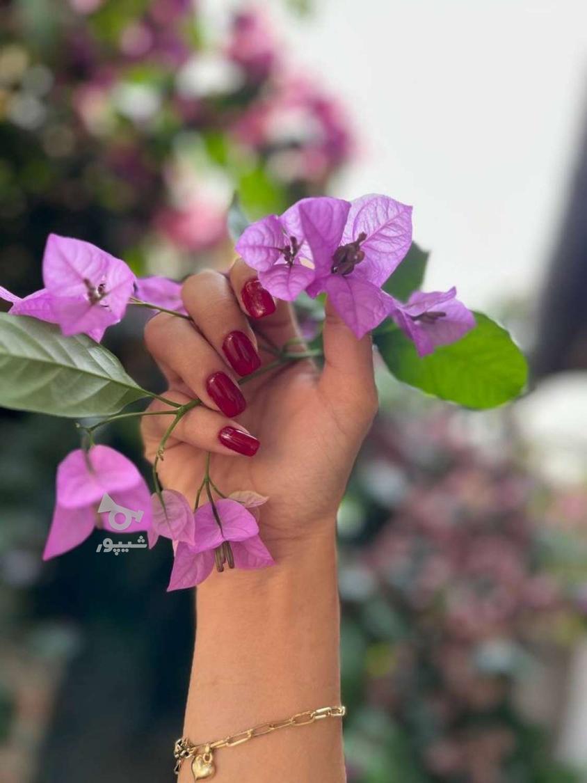 ماروبه دوستانتون معرفی کنید ترمیم برای شمارایگان انجام میشه