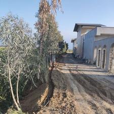 قطعه زمین کشاورزی سنددار زیر محمدآباد گرگان