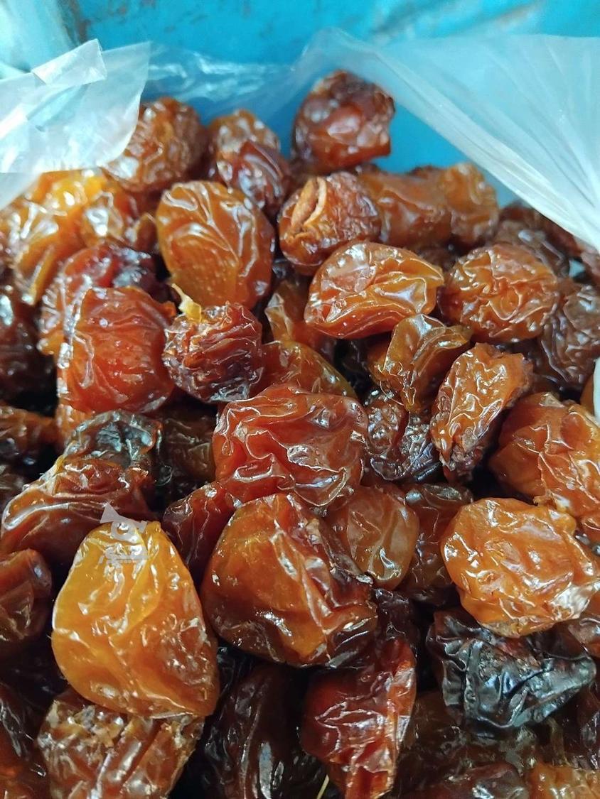 آلوبخارا وبرگه قیصی