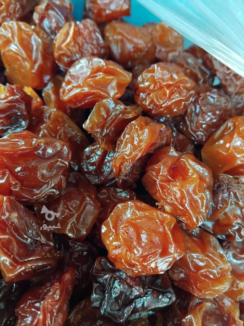 آلوبخارا وبرگه قیصی