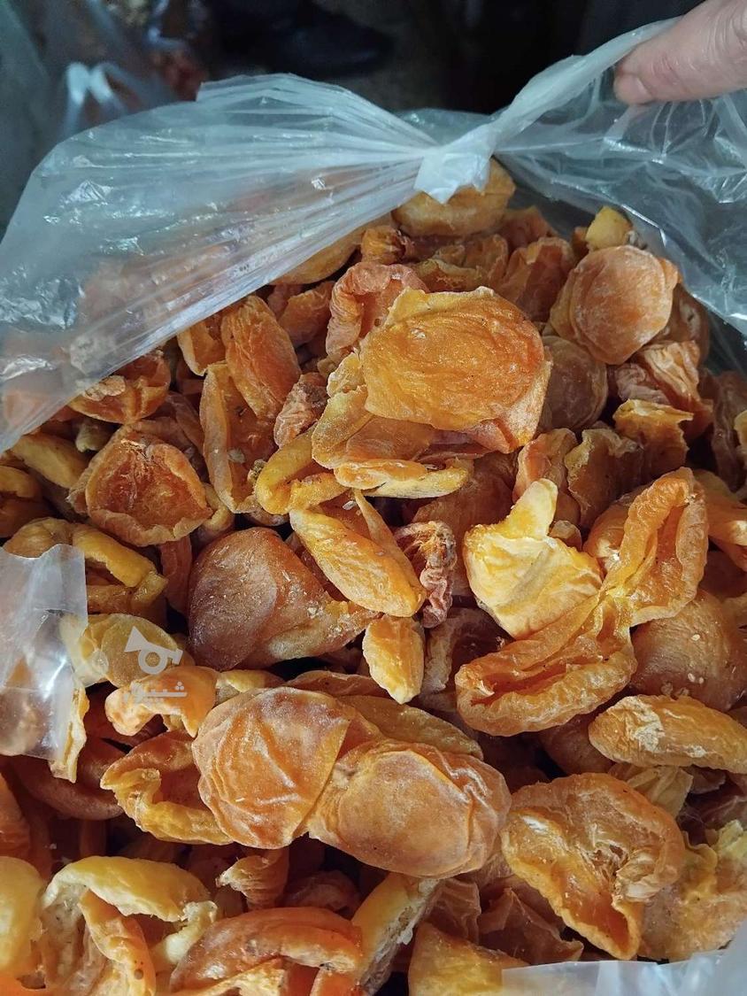 آلوبخارا وبرگه قیصی