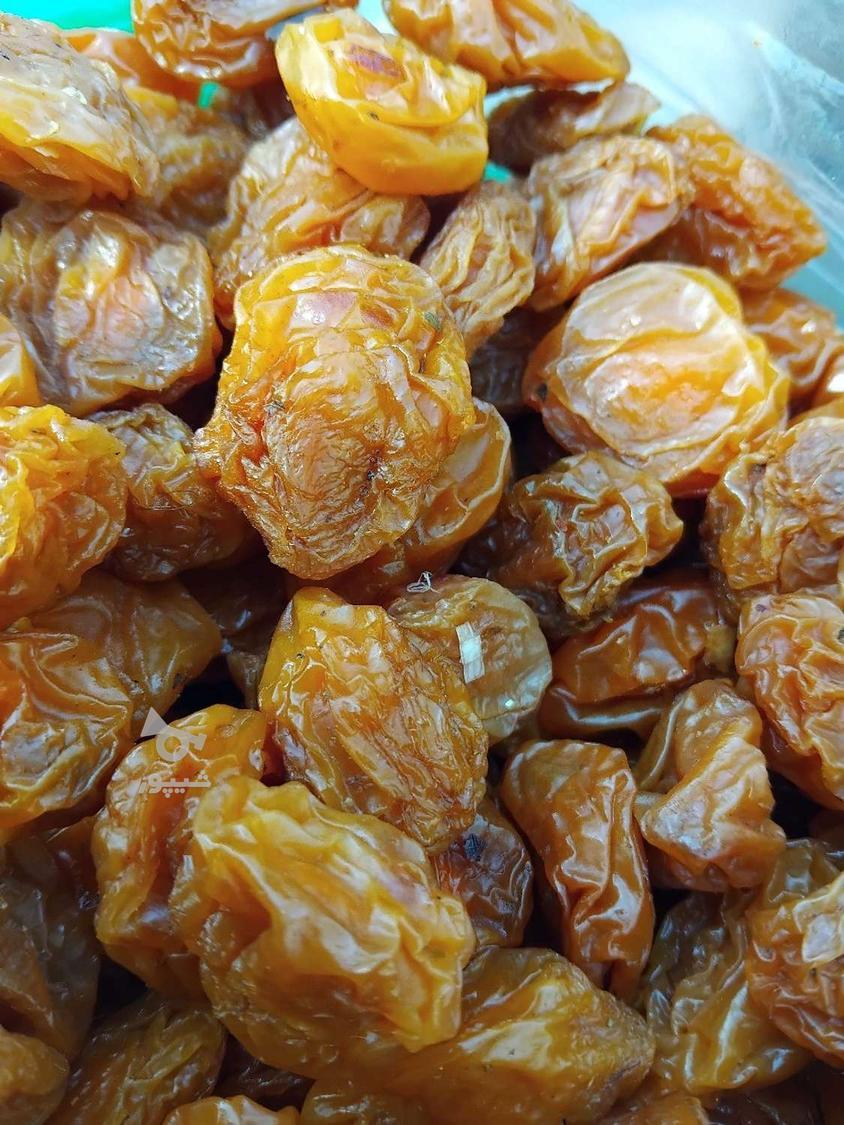 آلوبخارا وبرگه قیصی