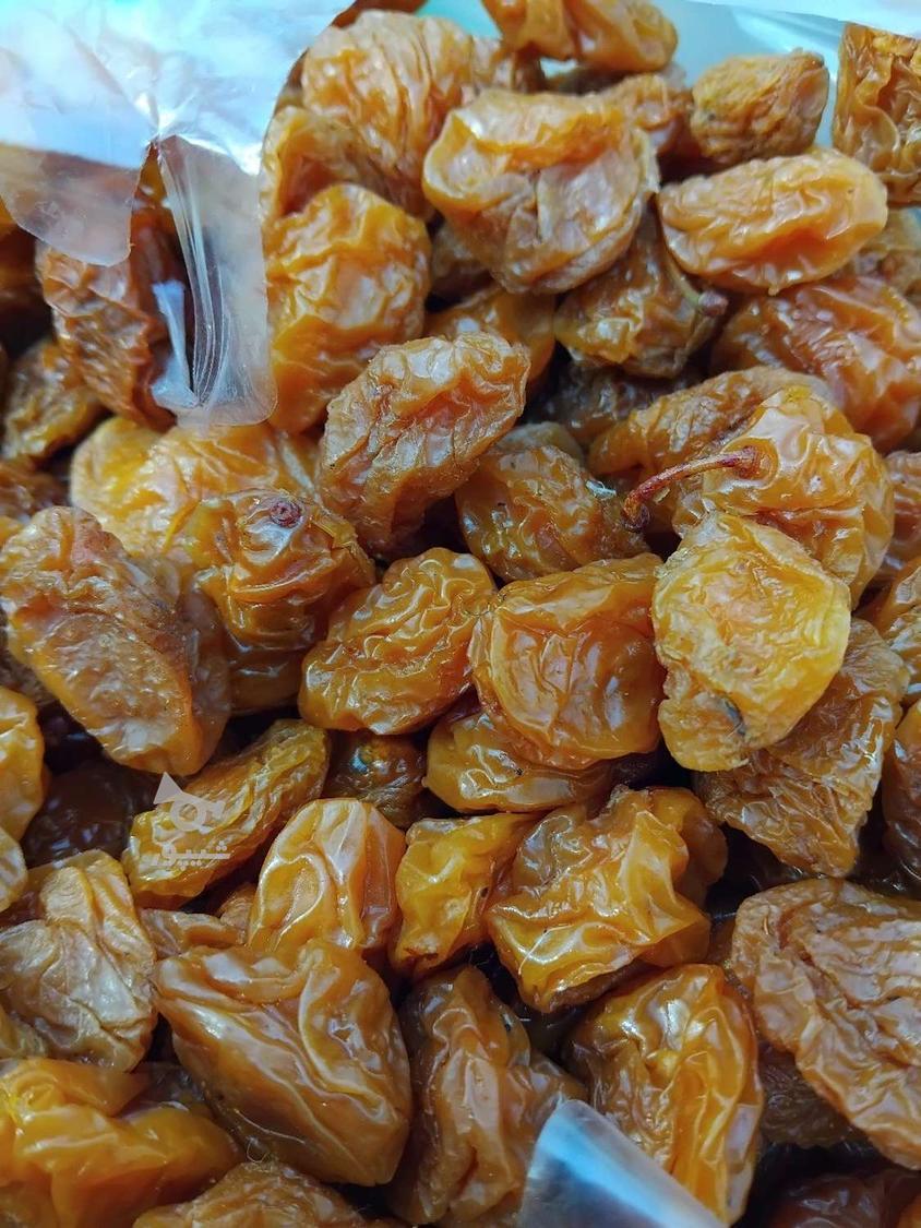 آلوبخارا وبرگه قیصی