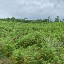 فروش زمین مسکونی 550 متر در ورند