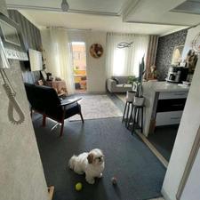 اجاره آپارتمان 55 متر در فردیس