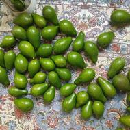 میوه آواکادوخریدارم