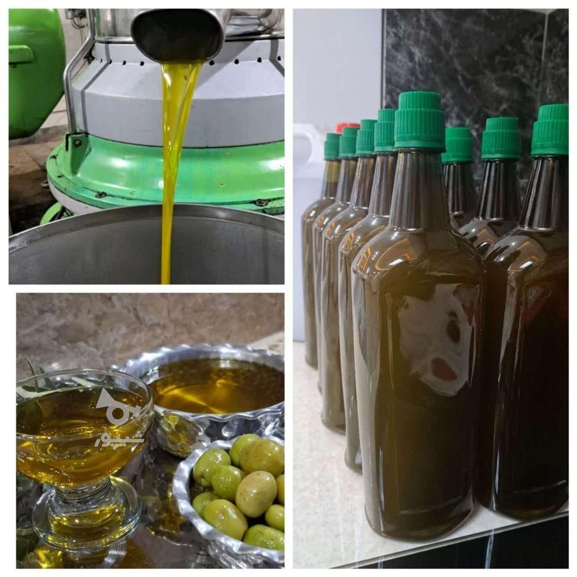 پخش روغن زبتون اصل اصل