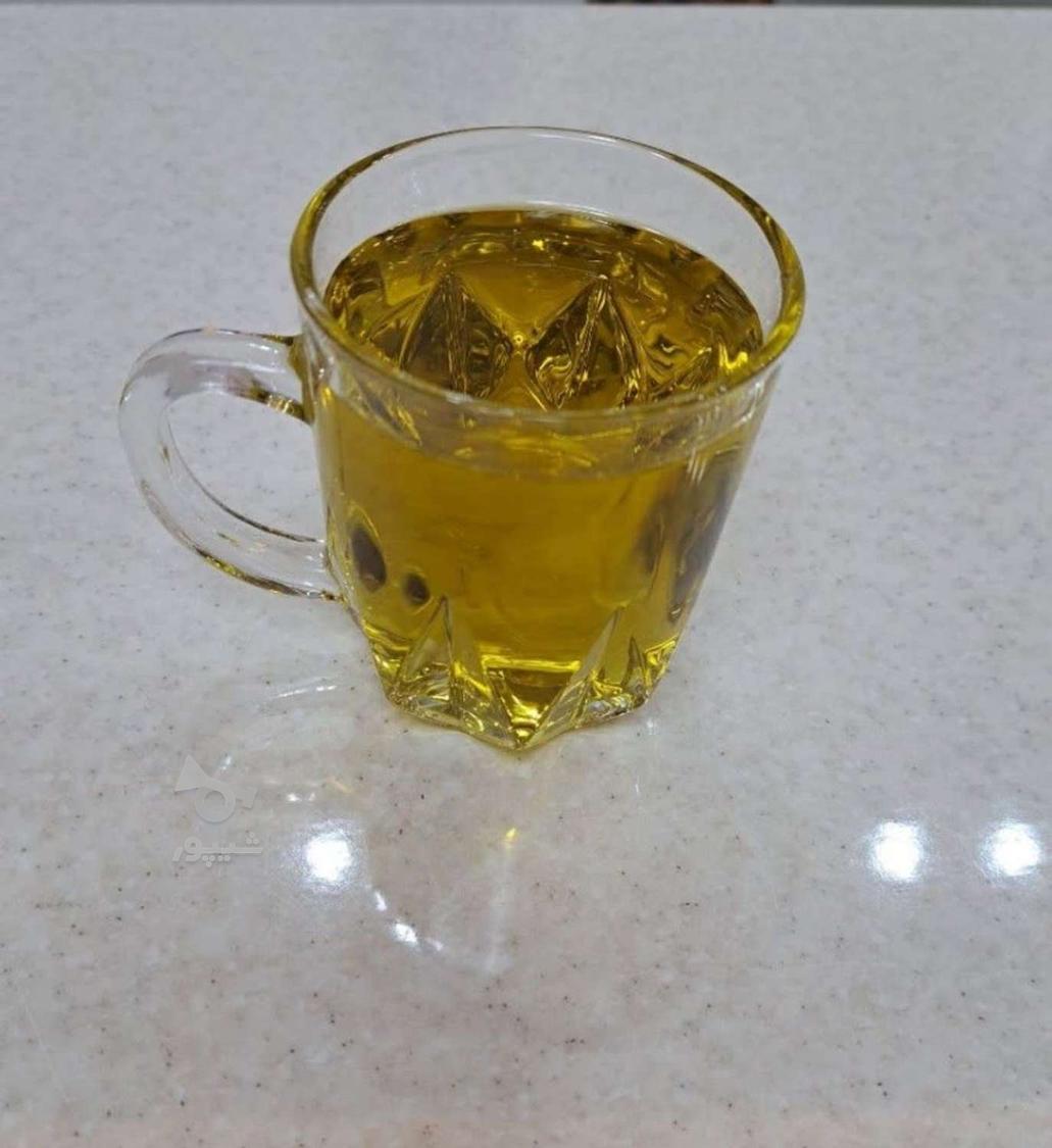 پخش روغن زبتون اصل اصل