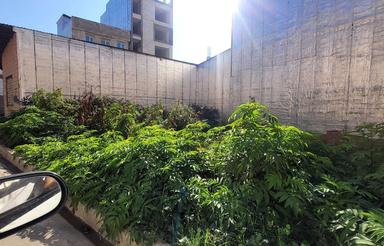 فروش زمین مسکونی 100 متر در جوادیه