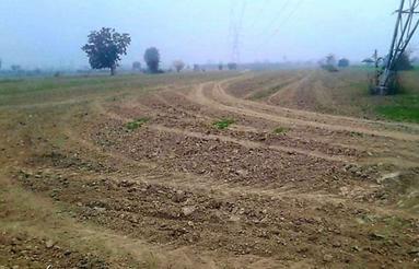 زمین کشاورزی