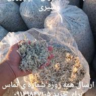 بهترین کیفیت بالا تفاله چغندر تر ملاس