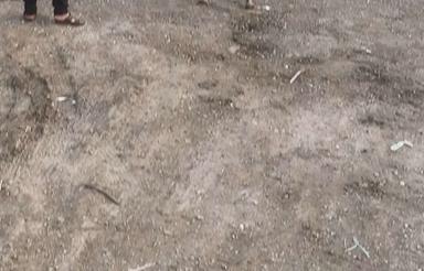 700متر زمین درجاده پرتردد اهواز آبادان سراهی شادگان دارخوین