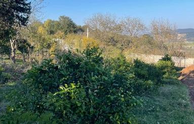 فروش680متر بهترین زمین مسکونی در بام سنگبن سلیم شیخ