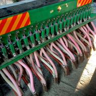 ردیفکار گندم