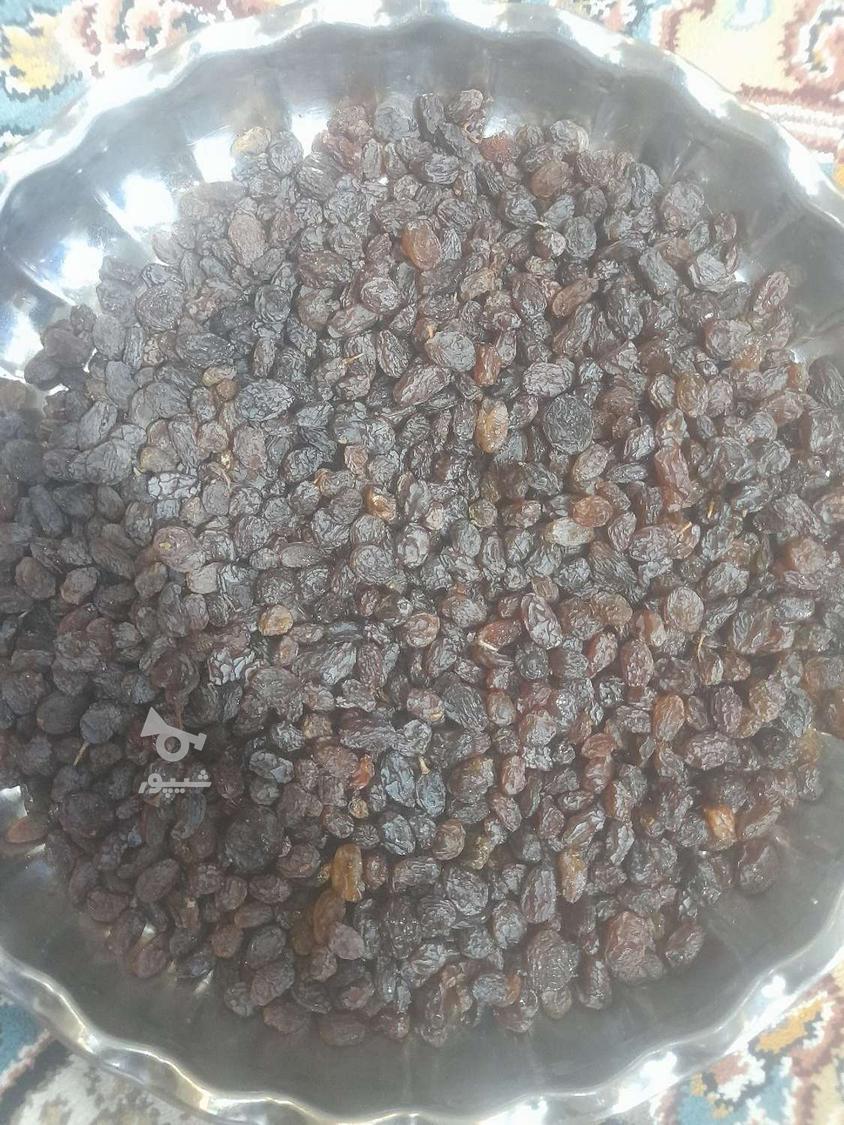 کشمش آفتابی ارگانیک