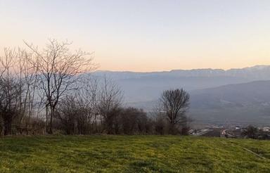 فروش زمین متراژ 1,100 متر در روستای تلاوک دودانگه