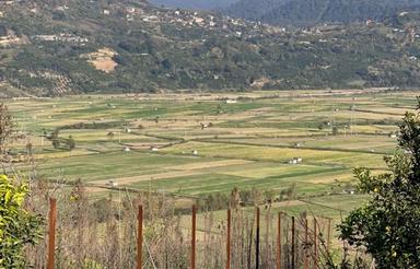 فروش زمین مسکونی 500 متر در کلیجان رستاق سنگبن سلیم شیخ