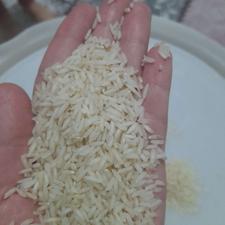 برنج طارم کشت دوم