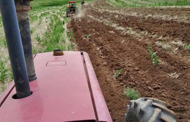 20کیسه 100کیلویی زمین کشاورزی روستای گوندک کنار راه اصلی