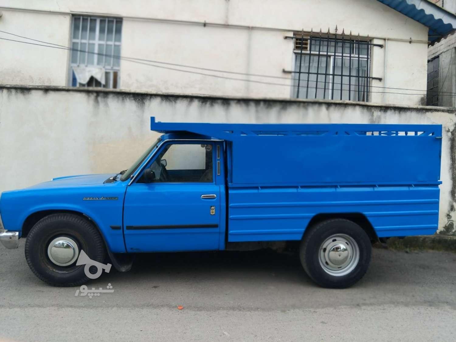 هرس درخت و خرید درخت