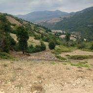 زمین کشاورزی