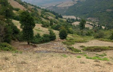 زمین کشاورزی