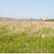 فروش زمین کشاورزی 2000 متر در شمس اباد