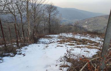 زمین مسکونی