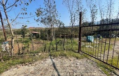 فروش زمین مسکونی روستای کوشکوه رحیم آباد