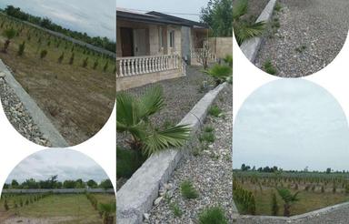 فروش زمین مسکونی 170 متر در خانه دریا