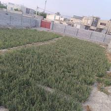 فروش زمین وسط شهر 874 متر