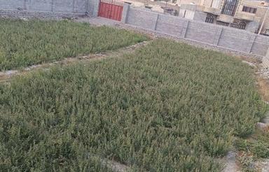 فروش زمین وسط شهر 874 متر