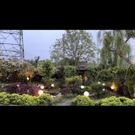 حیاط سازی و انجام امور فضای سبز و درختکاری