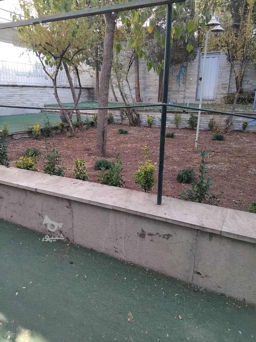 باغبانی گل آپارتمانی سمپاشی هرس کرد