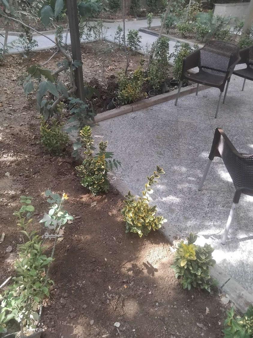 باغبانی گل آپارتمانی سمپاشی هرس کرد