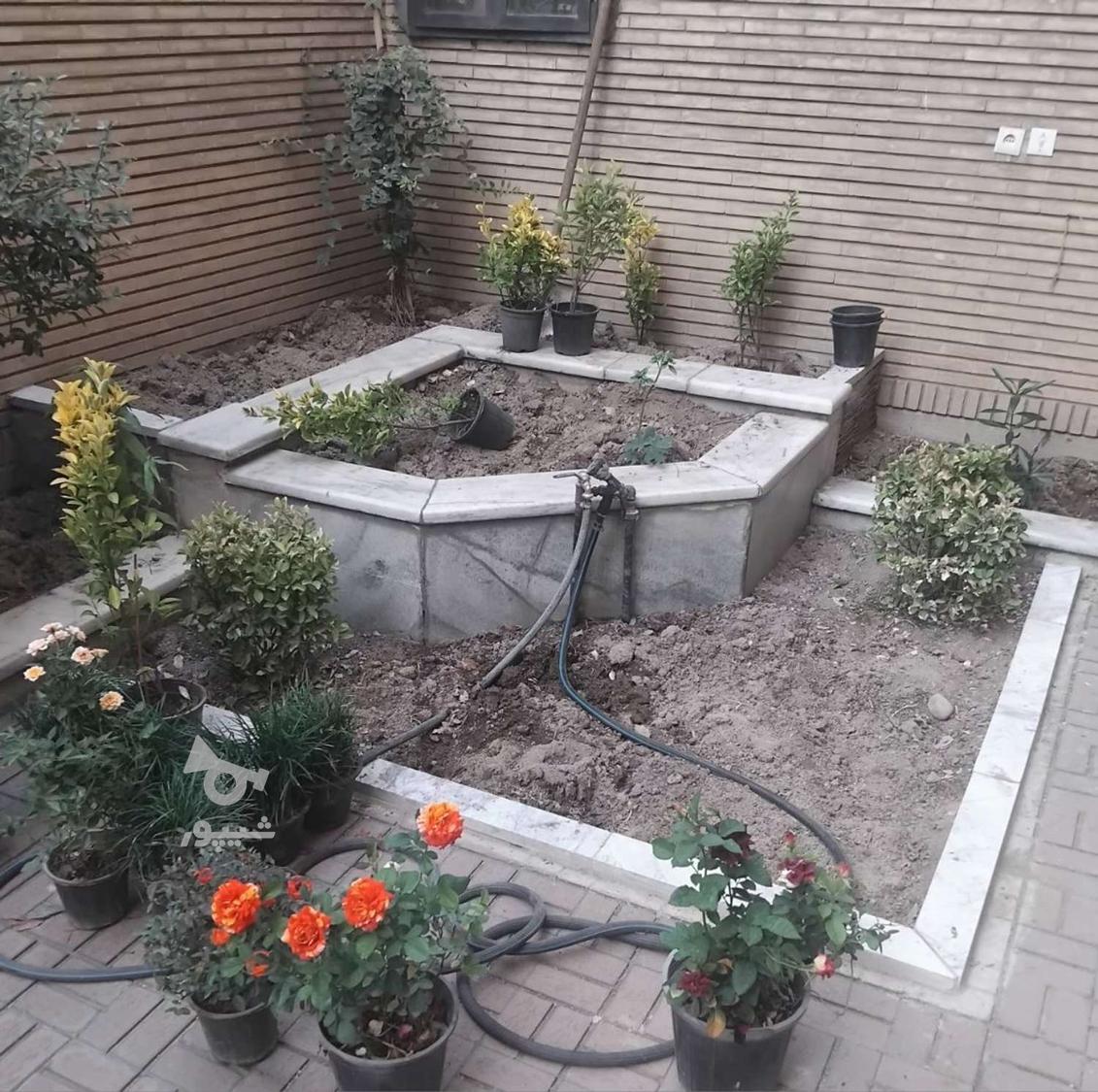 باغبانی گل آپارتمانی سمپاشی هرس کرد