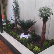 باغبانی گل آپارتمانی سمپاشی هرس کرد