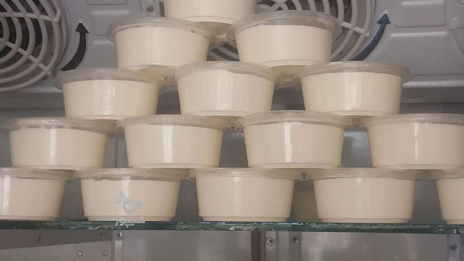 فرآورده های لبنی نوین