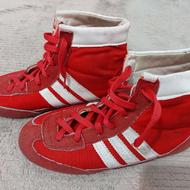 کفش کشتی سالم