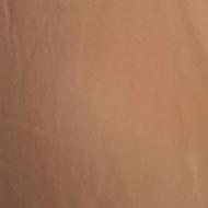 خانم برای نظافت