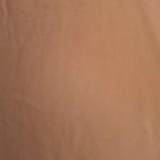 خانم برای نظافت