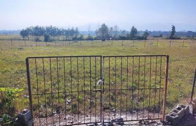 باغ برای کیوی