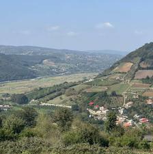 فروش باغ گلابی 1000متر پول نیاز کاسبی