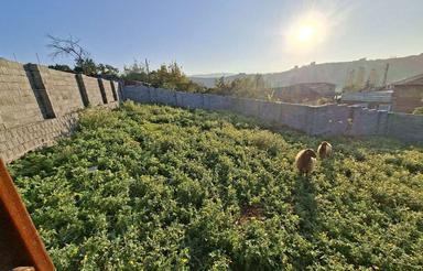 زمین مسکونی رنگرزی کلا 300 متر