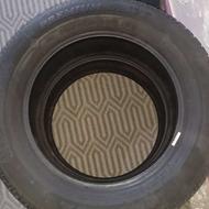 لاستیک پژو رینگ 15