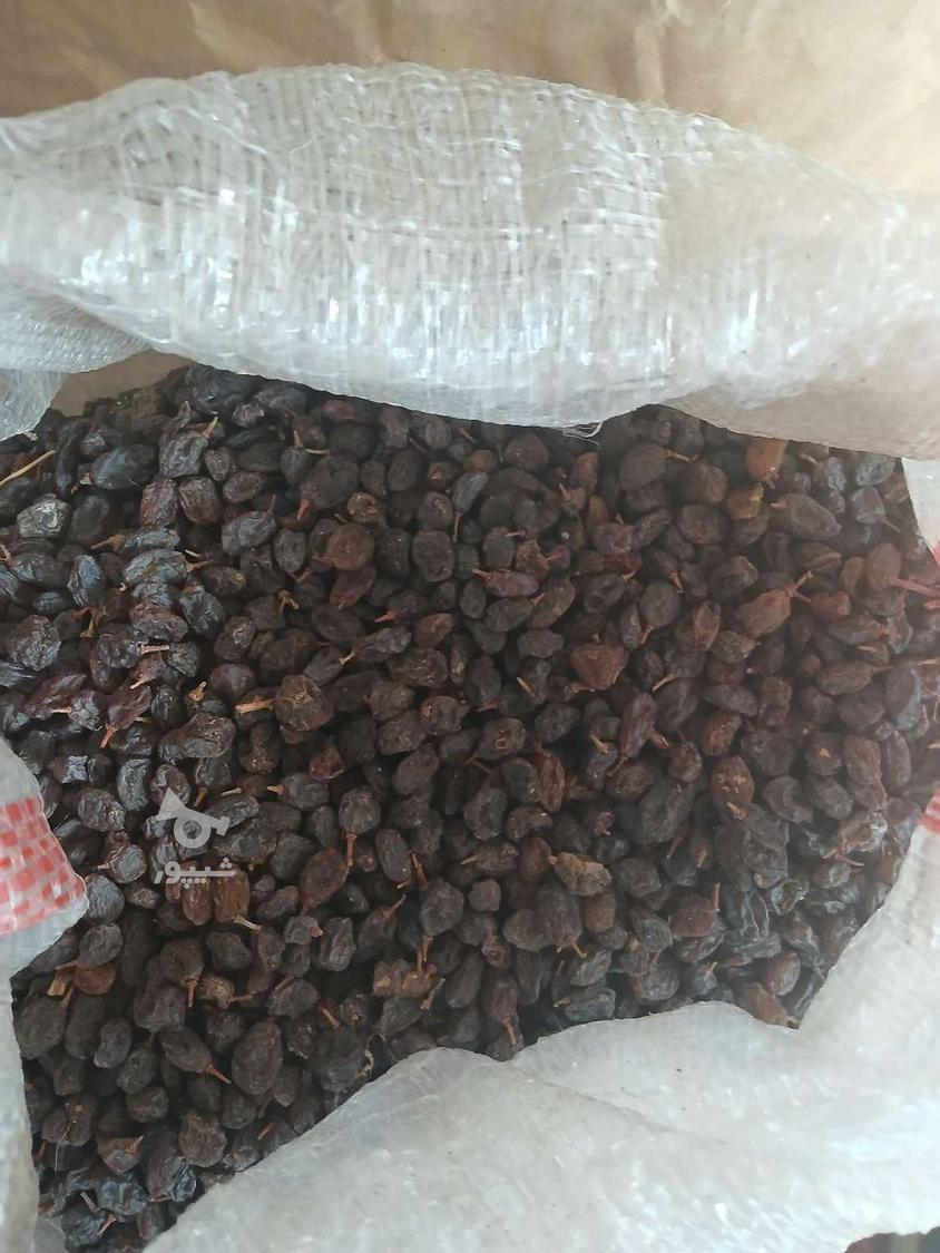 کشمش خوراکی تمیز