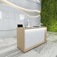 منشی دفتر خانم