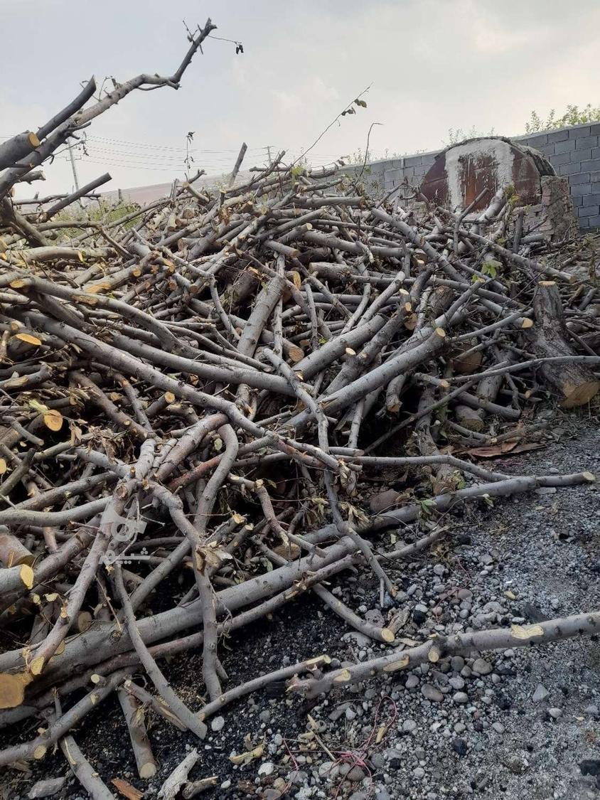 خرید ضایعات چوب